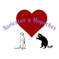 Suricatas y Mapaches